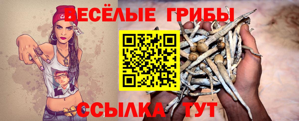 Псилоцибиновые грибы прущие грибы Еманжелинск
