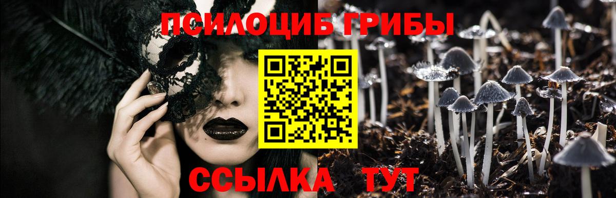 Псилоцибиновые грибы Еманжелинск